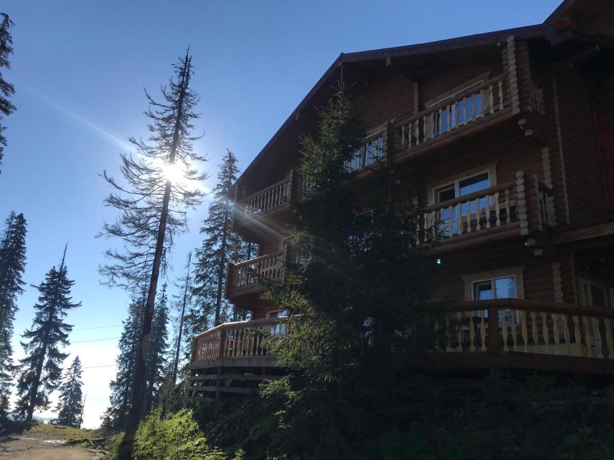 Alpin Eco Chalet & Wellness Dragobrat Exterior foto