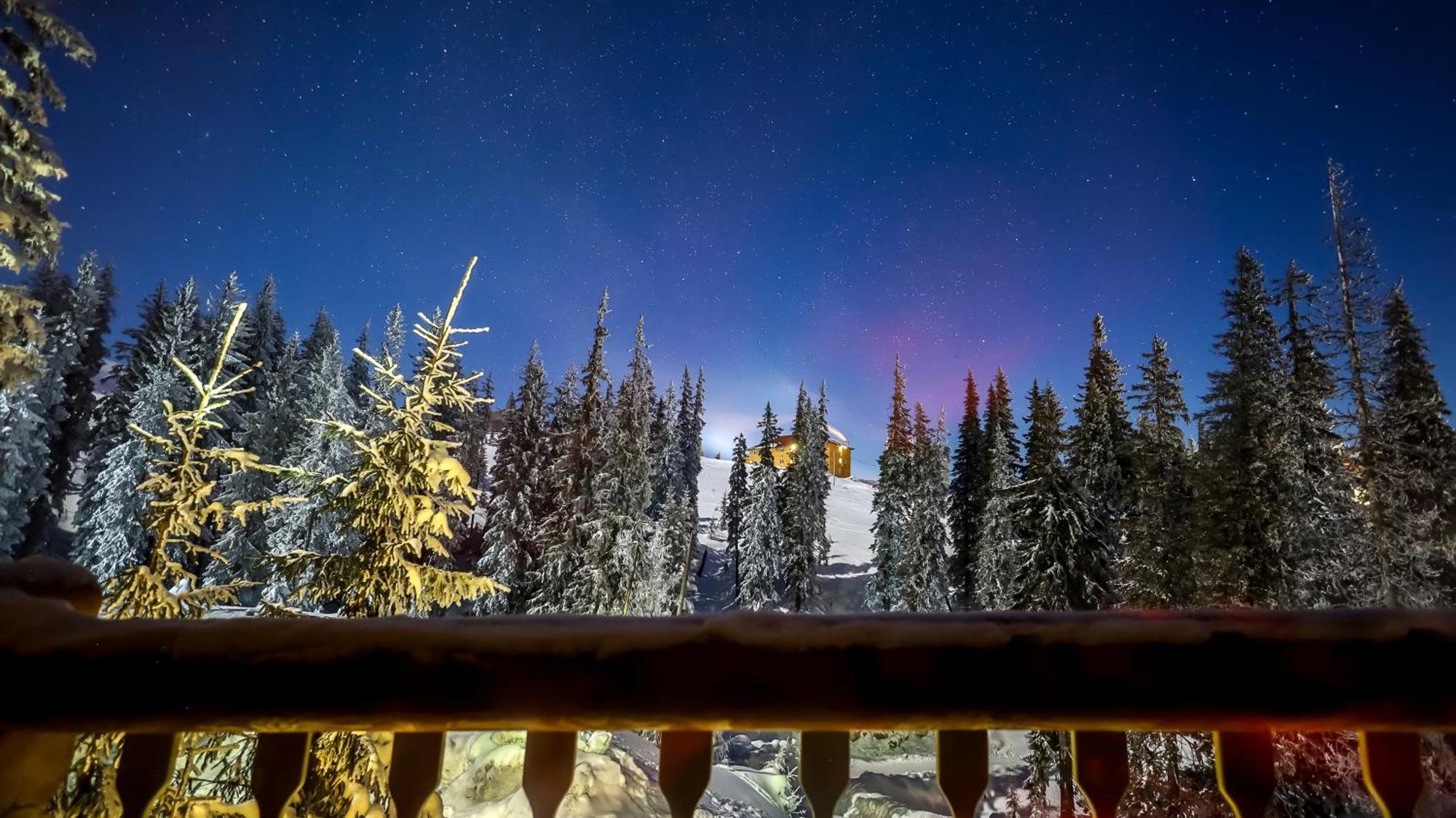 Alpin Eco Chalet & Wellness Dragobrat Exterior foto