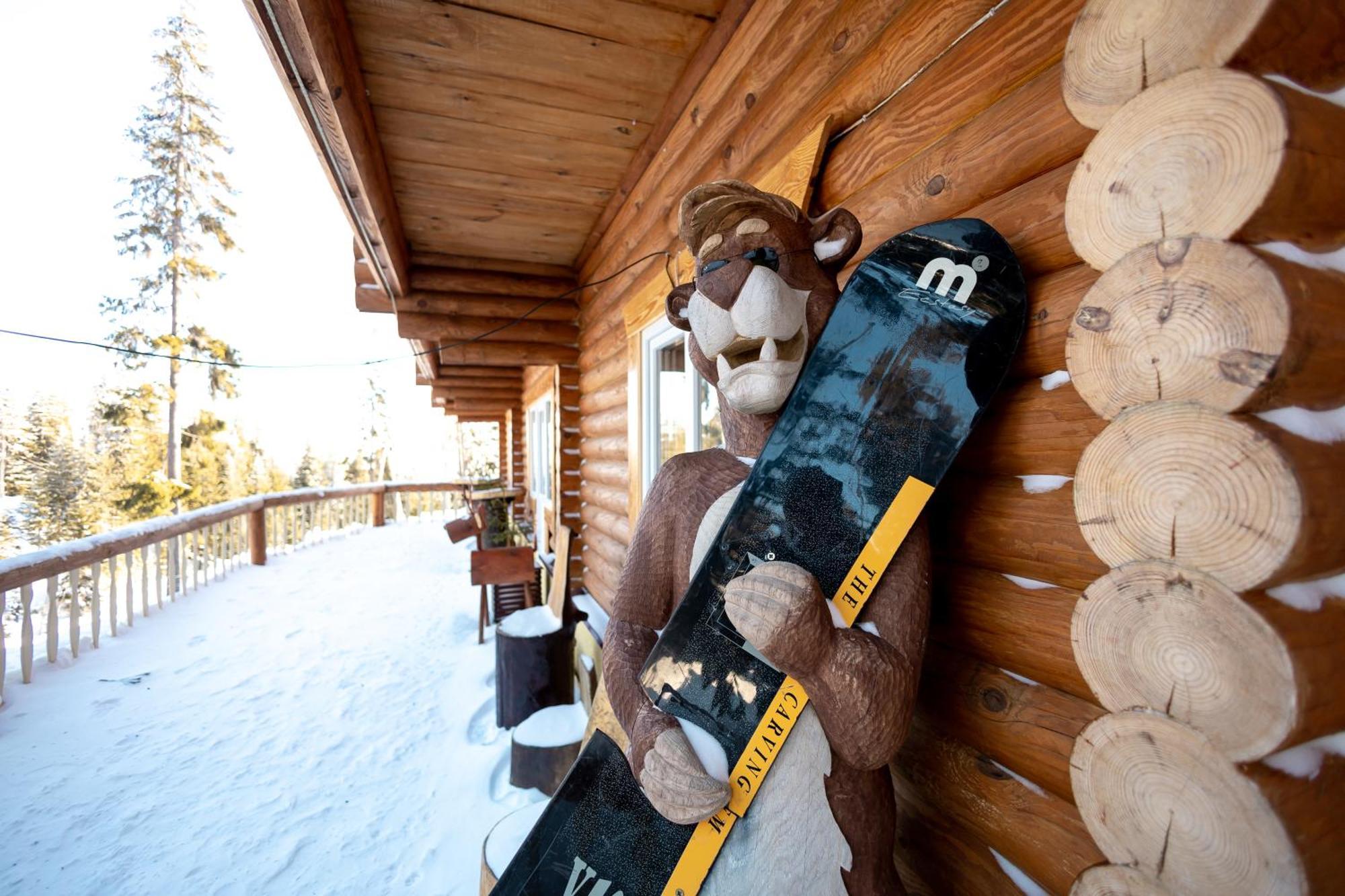 Alpin Eco Chalet & Wellness Dragobrat Exterior foto